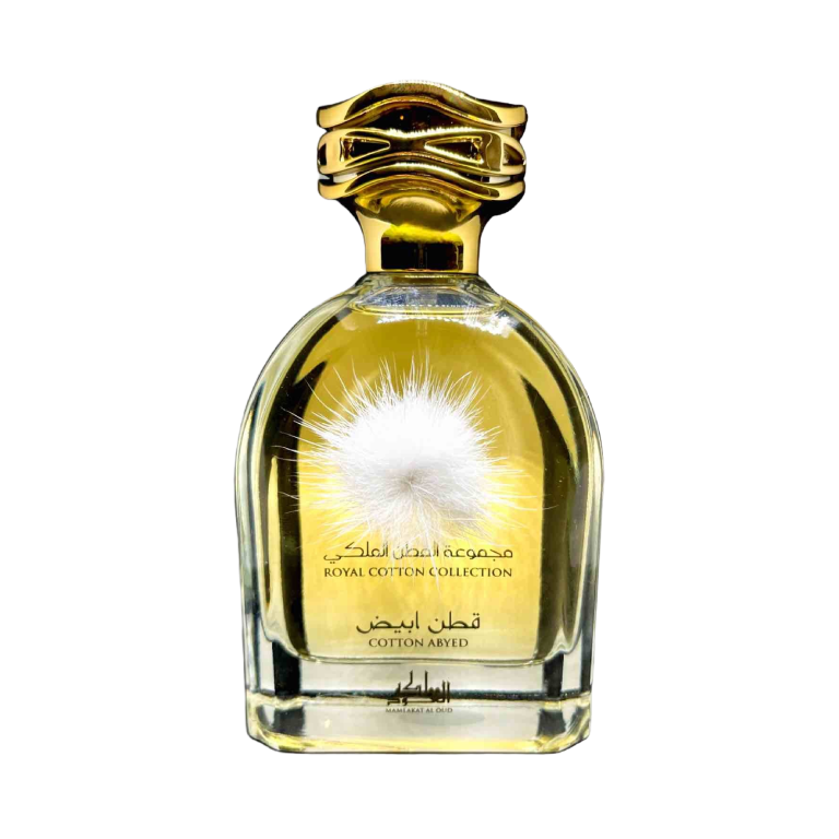 Cotton Abyed Mamlakat Al Oud Parfum Femme 100ml